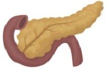 Chronic Pancreatitis & COVID-19